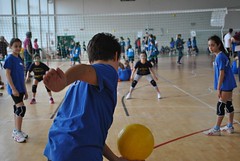 Torneo Celle Ligure 2016 - il pomeriggio • <a style="font-size:0.8em;" href="http://www.flickr.com/photos/69060814@N02/26492198776/" target="_blank">View on Flickr</a>