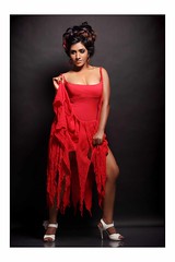 Bollywood Actress NISHA YADAV-HOT AND SEXY IMAGES-SET-2 (44)