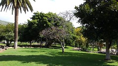 Parque de La Granja. Santa Cruz de Tenerife.