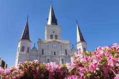 Springtime in New Orleans • <a style="font-size:0.8em;" href="http://www.flickr.com/photos/29084014@N02/26249915741/" target="_blank">View on Flickr</a>