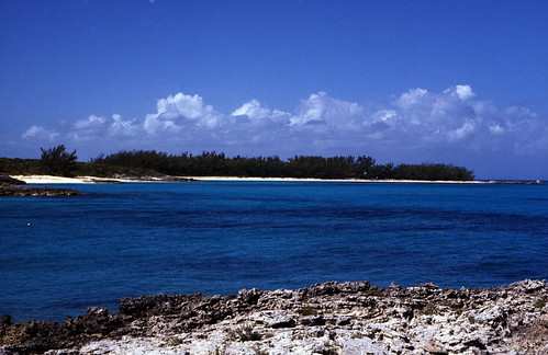 Bahamas 1988 (309) Rose Island • <a style="font-size:0.8em;" href="http://www.flickr.com/photos/69570948@N04/23567233184/" target="_blank">Auf Flickr ansehen</a>
