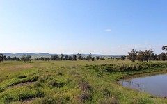 Lot 12, Mount Tallabung Road, Forbes NSW
