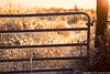 Ranch Gate • <a style="font-size:0.8em;" href="http://www.flickr.com/photos/65051383@N05/26013057546/" target="_blank">View on Flickr</a>