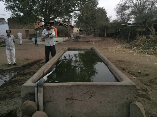 Water_Pool_for_Cows