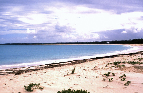 Bahamas 1989 (434) Abaco • <a style="font-size:0.8em;" href="http://www.flickr.com/photos/69570948@N04/24844031596/" target="_blank">Auf Flickr ansehen</a>