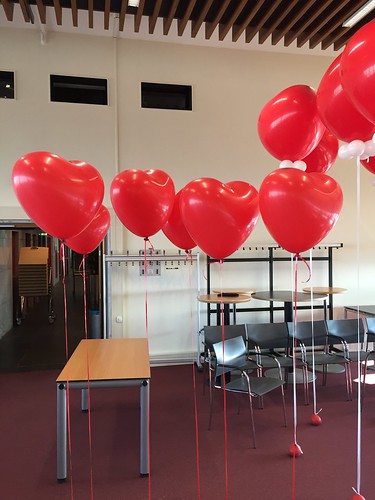 Heliumballonnen Hart Hoge School Rotterdam
