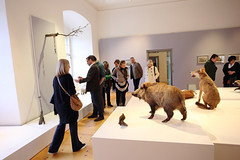 Der Wolf @ Jagdmuseum Schloss Stainz