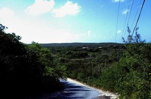 Bahamas 1989 (511) Great Exuma • <a style="font-size:0.8em;" href="http://www.flickr.com/photos/69570948@N04/25090676855/" target="_blank">Auf Flickr ansehen</a>
