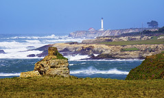Point Arena Lighthouse, CA