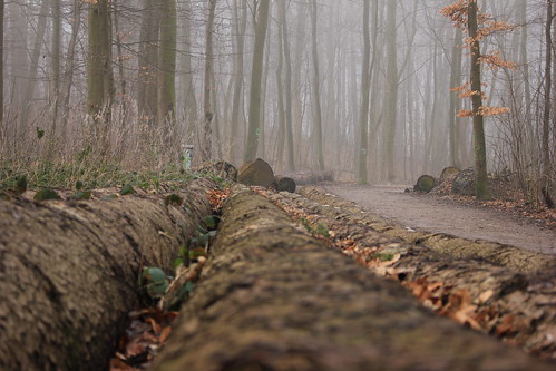 Wald im Nebel (04) • <a style="font-size:0.8em;" href="http://www.flickr.com/photos/69570948@N04/24943611409/" target="_blank">Auf Flickr ansehen</a>