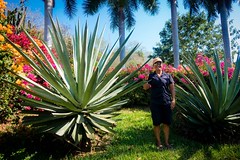 Amanda standing next to mature (5yr) agave plants.