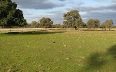 LOT 36 Dahwilly Road, Deniliquin NSW