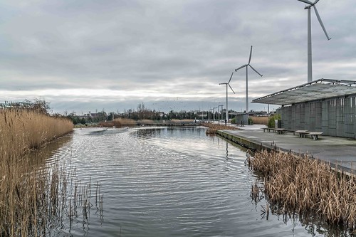 Wind Powered Public Park In Clongriffin Dublin [Father Collins Park]-110961