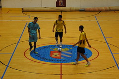 DSC_0350 • <a style="font-size:0.8em;" href="http://www.flickr.com/photos/139076706@N05/24177414575/" target="_blank">View on Flickr</a>
