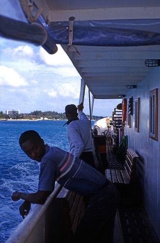 Bahamas 1989 (393) Paradise Island • <a style="font-size:0.8em;" href="http://www.flickr.com/photos/69570948@N04/24438521490/" target="_blank">Auf Flickr ansehen</a>