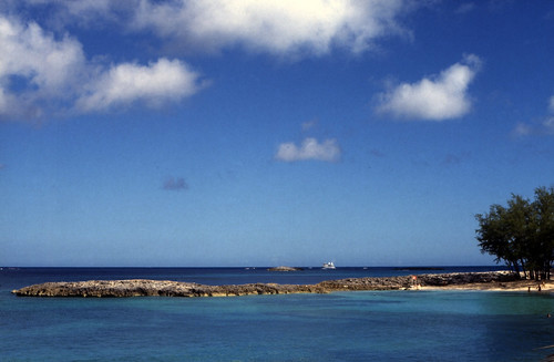 Bahamas 1988 (265) Paradise Island: Cove • <a style="font-size:0.8em;" href="http://www.flickr.com/photos/69570948@N04/23456166834/" target="_blank">Auf Flickr ansehen</a>