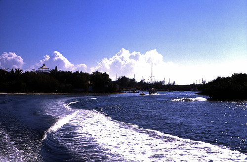 Bahamas 1989 (464) • <a style="font-size:0.8em;" href="http://www.flickr.com/photos/69570948@N04/24848423371/" target="_blank">Auf Flickr ansehen</a>