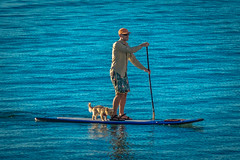 Andrew taking Lefty out for a SUP in San Carlos.