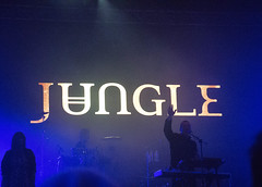Jungle - Estéreo picnic 2016