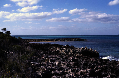 Bahamas 1989 (351) • <a style="font-size:0.8em;" href="http://www.flickr.com/photos/69570948@N04/23745976793/" target="_blank">Auf Flickr ansehen</a>