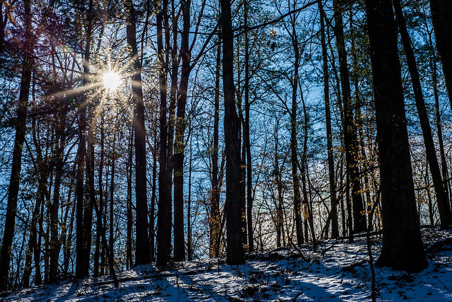 Hoosier National Forest - Pate Hollow Trail - January 24, 2016