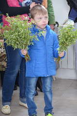 JPR_8541_новый размер