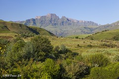 Drakensburg - Morning View