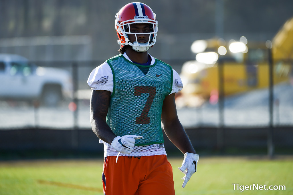Clemson  Photo of Mike Williams
