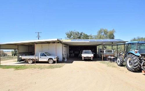 650 Monteagle Stock Route Rd Eest, Young NSW