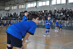 Torneo Celle Ligure 2016 - il pomeriggio • <a style="font-size:0.8em;" href="http://www.flickr.com/photos/69060814@N02/25913192984/" target="_blank">View on Flickr</a>