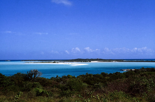 Bahamas 1989 (517) Great Exuma: Crab Cay • <a style="font-size:0.8em;" href="http://www.flickr.com/photos/69570948@N04/24836286990/" target="_blank">Auf Flickr ansehen</a>