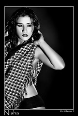 Bollywood Actress NISHA YADAV-HOT AND SEXY IMAGES-SET-1 (1)
