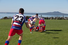 Sports (Rugby) (7)