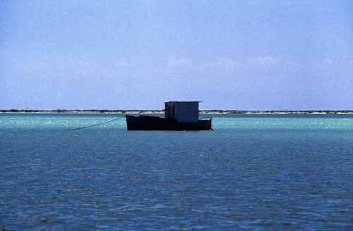 Bahamas 1989 (613) Long Island • <a style="font-size:0.8em;" href="http://www.flickr.com/photos/69570948@N04/25546828162/" target="_blank">Auf Flickr ansehen</a>