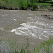 Greybull River (Meeteetse, Wyoming, USA) 8