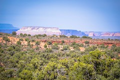 A mix of green brush and red rocks near the Grand Canyon.