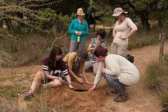 Ukuwela Conservancy volunteers building pit trap