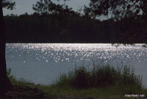 Шацький Національний Природний Парк Озеро Пісочне  Блиск сонця в воді InterNetri  Ukraine 115
