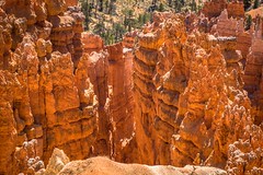 Crimson-colored hoodoos, which are spire-shaped rock formations.
