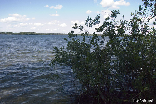 Шацький Національний Природний Парк Озеро Пісочне Берег InterNetri  Ukraine 163