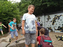 Schönbrunn1abJuni2018-016