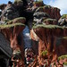 Splash Mountain Ride Disneyworld