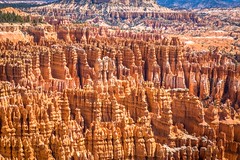 Crimson-colored hoodoos, which are spire-shaped rock formations.