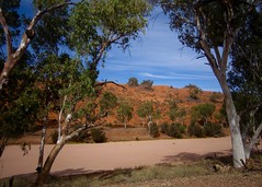 Day 8, Beautiful red sand dunes and gumtrees at river crossing after long push crosscountry over sand dunes