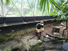 Schönbrunn1abJuni2018-014