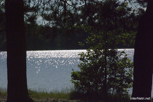 Шацький Національний Природний Парк Озеро Пісочне  Блиск сонця в воді InterNetri  Ukraine 113