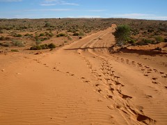 Day 10, new track over sand dunes, 2