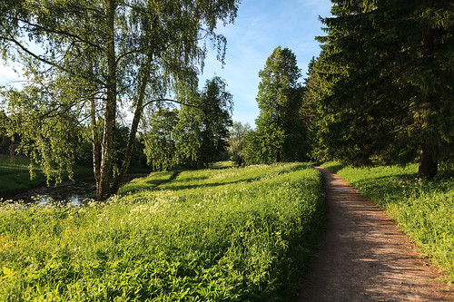 Sunny path