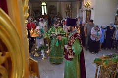 День Святого Духа (13)