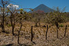 Am Fusse des Vulkans Maderas, Santa Cruz, Ometepe - Nicaragua